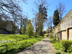 Frühling im Dambachtal
