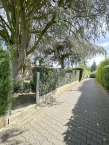 Weg