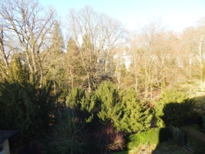 Blick in den Park