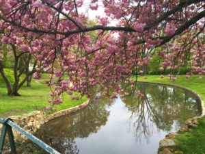 Walkmühlpark