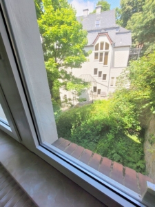 Ausblick