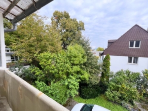 Blick ins Grüne